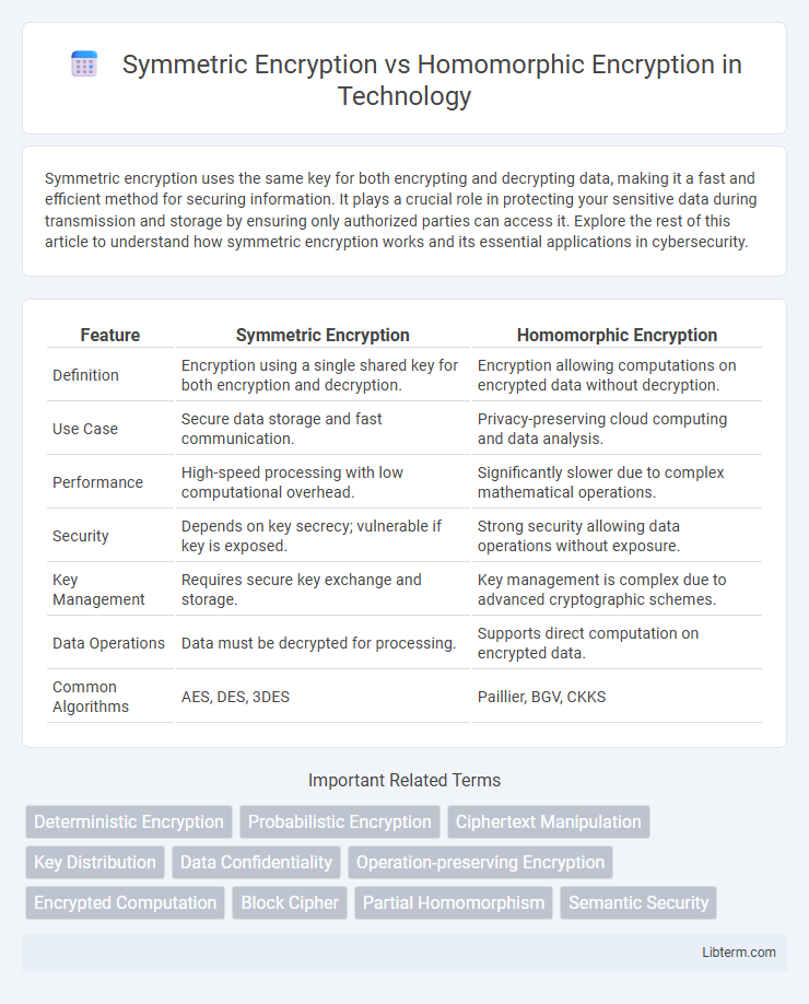 Homomorphic Encryption vs Symmetric Encryption in Technology - What is The Difference?