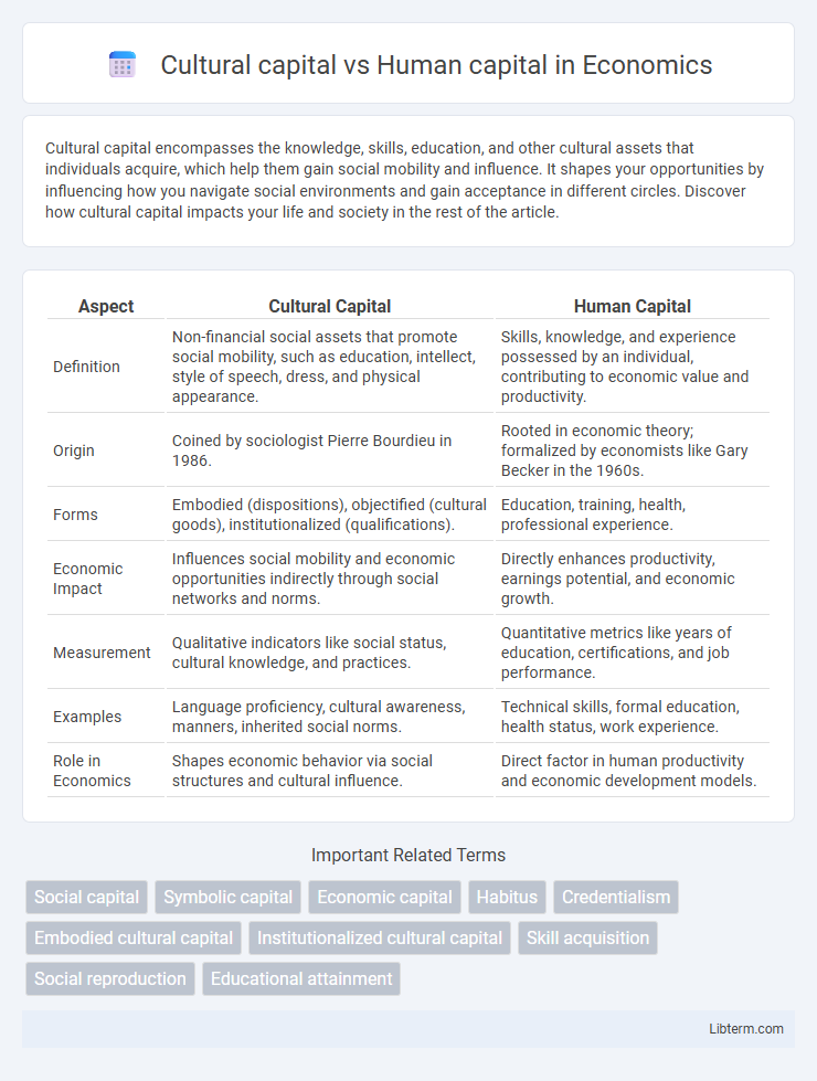 Human capital vs Cultural capital in Economics - What is The Difference?