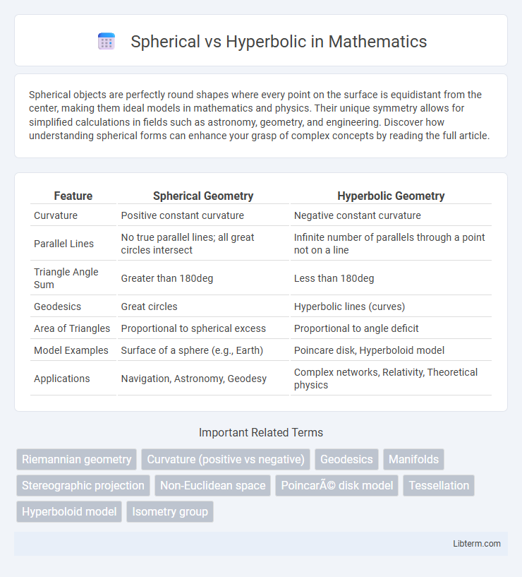 Hyperbolic vs Spherical in Mathematics - What is The Difference?