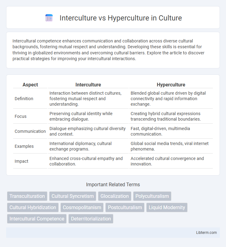 Hyperculture vs Interculture in Culture - What is The Difference?