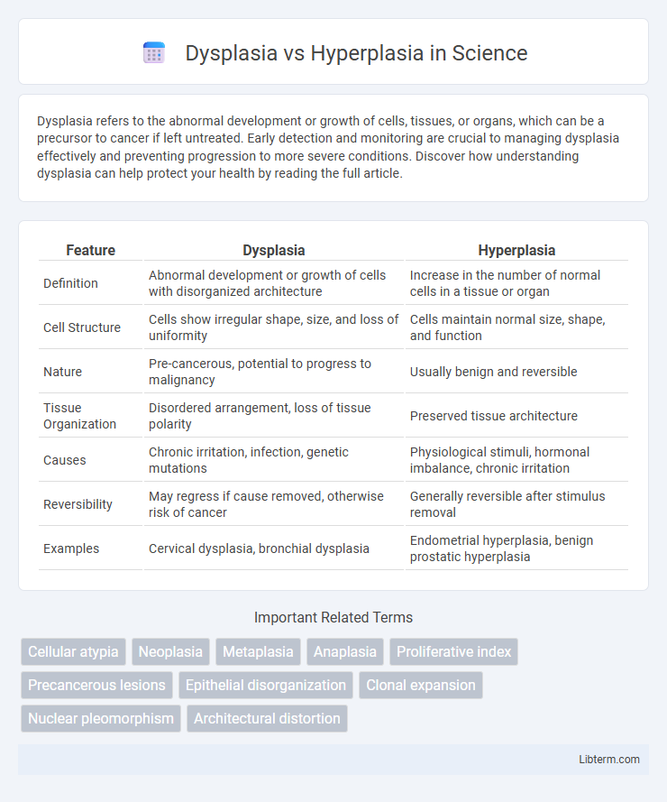 Hyperplasia vs Dysplasia in Science - What is The Difference?