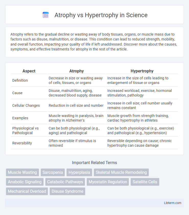 Hypertrophy vs Atrophy in Science - What is The Difference?
