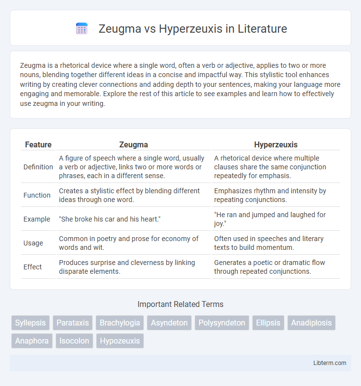 Hyperzeuxis vs Zeugma in Literature - What is The Difference?
