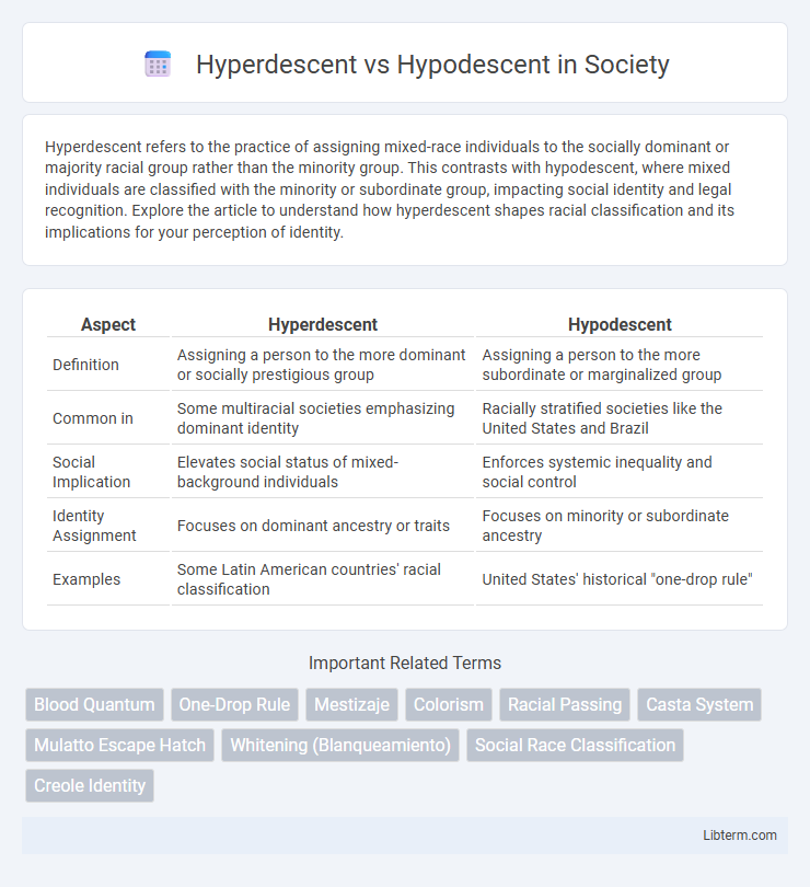 Hypodescent vs Hyperdescent in Society - What is The Difference?
