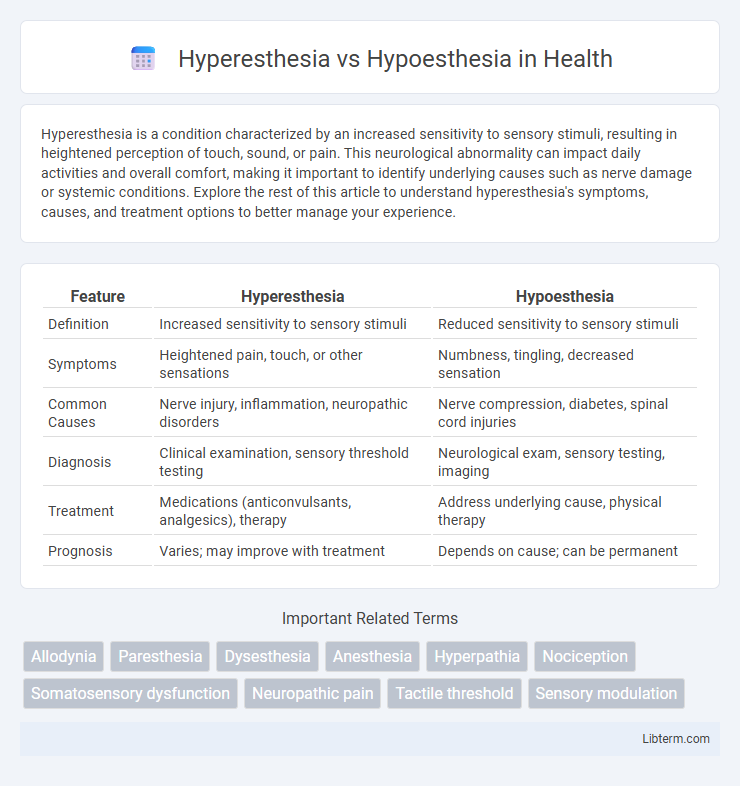 Hypoesthesia vs Hyperesthesia in Health - What is The Difference?