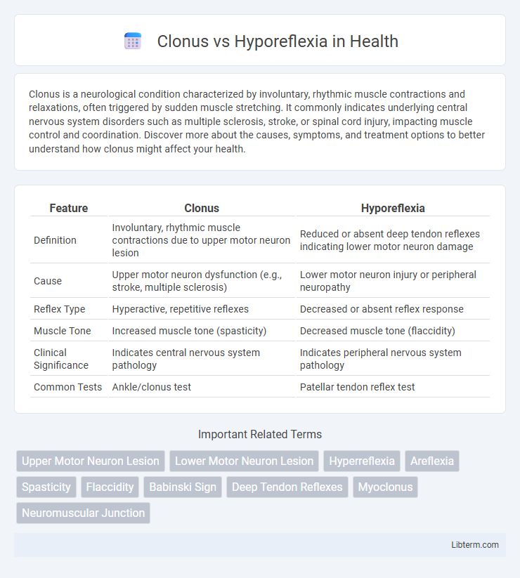 Hyporeflexia vs Clonus in Health - What is The Difference?