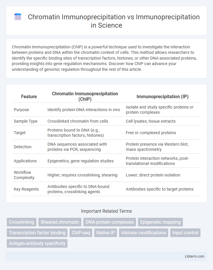 Immunoprecipitation vs Chromatin Immunoprecipitation in Science - What is The Difference?