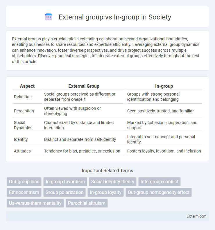 In-group vs External group in Society - What is The Difference?