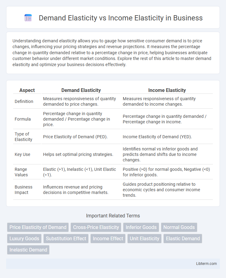 Income Elasticity vs Demand Elasticity in Business - What is The Difference?