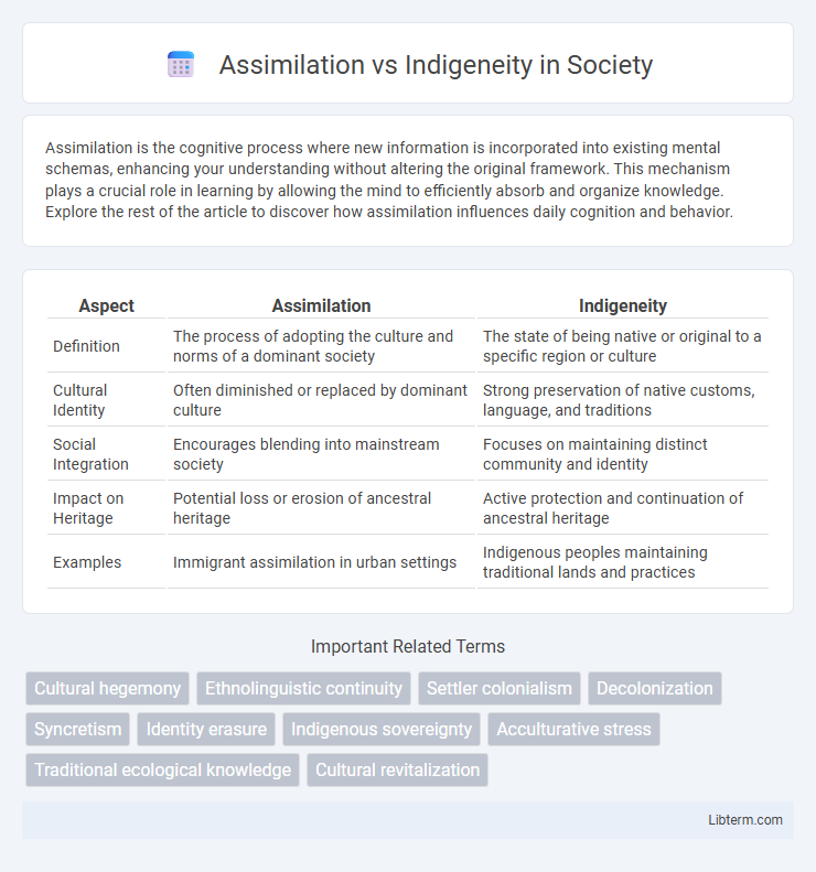 Indigeneity vs Assimilation in Society - What is The Difference?
