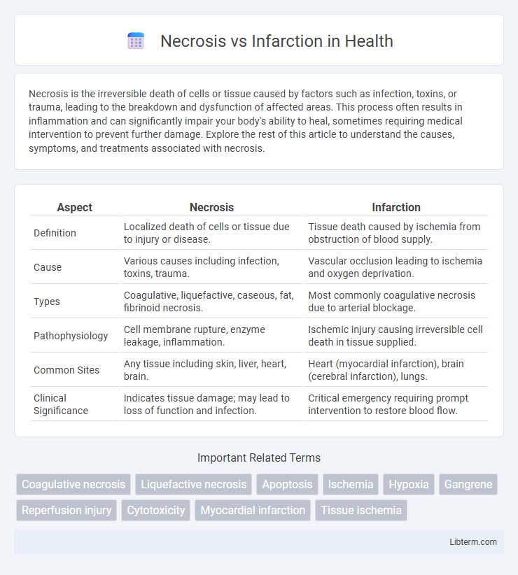Infarction vs Necrosis in Health - What is The Difference?