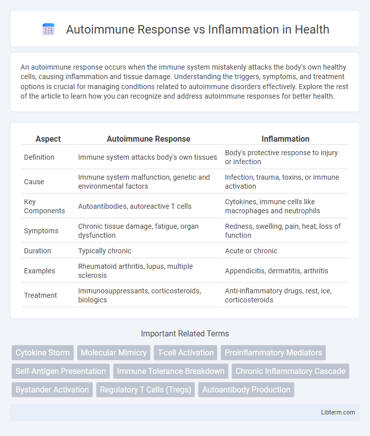 Inflammation vs Autoimmune Response in Health - What is The Difference?