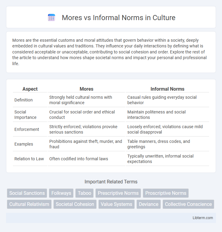Informal Norms vs Mores in Culture - What is The Difference?