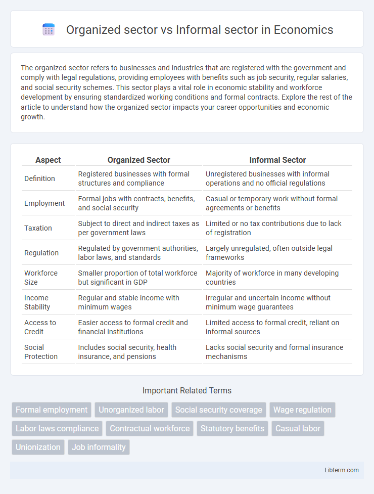 Informal sector vs Organized sector in Economics - What is The Difference?