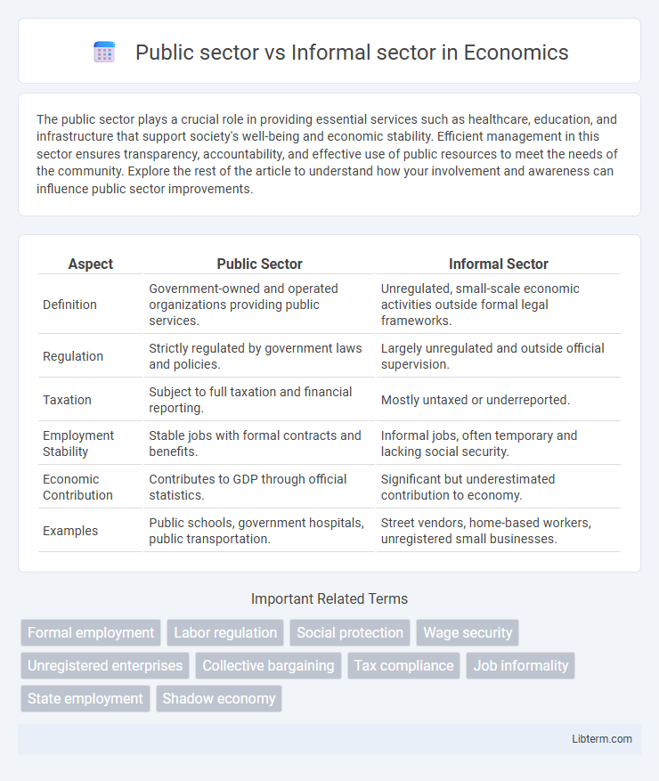 Informal sector vs Public sector in Economics - What is The Difference?