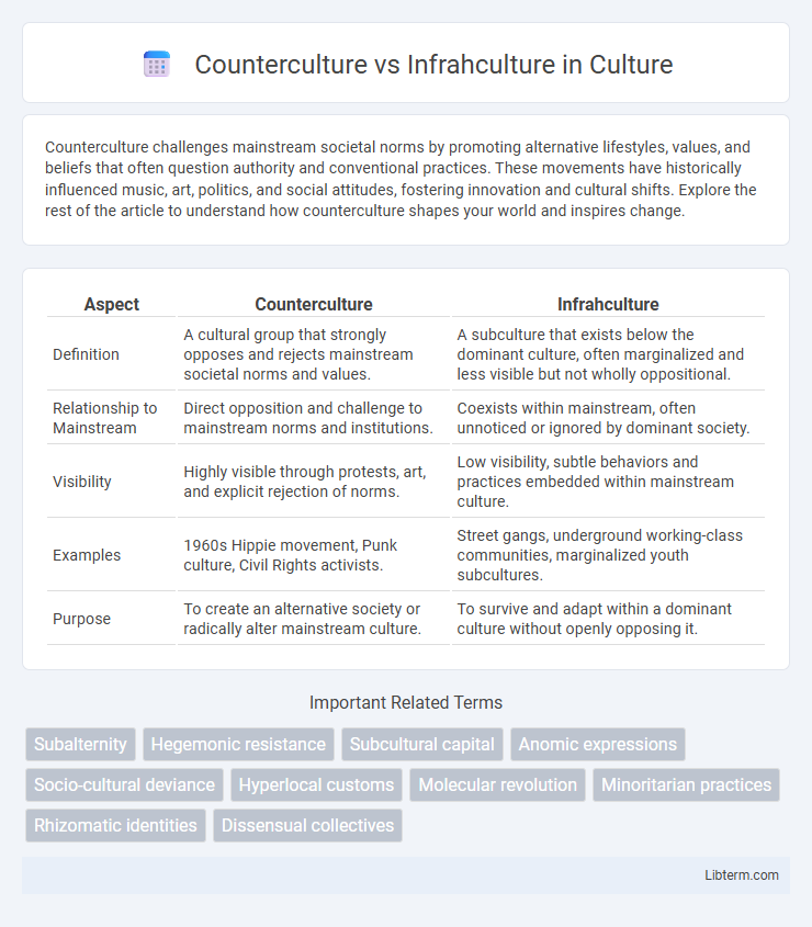 Infrahculture vs Counterculture in Culture - What is The Difference?