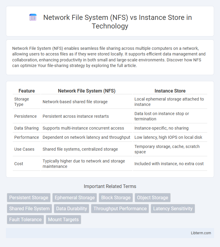 Instance Store vs Network File System (NFS) in Technology - What is The Difference?