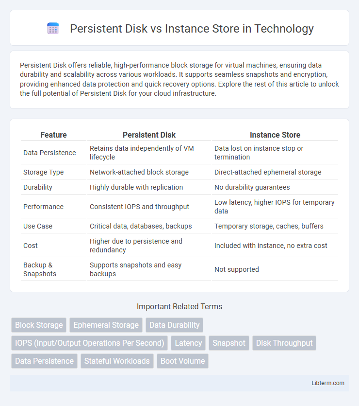 Instance Store vs Persistent Disk in Technology - What is The Difference?