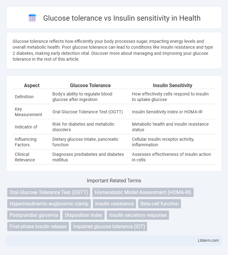 Insulin sensitivity vs Glucose tolerance in Health - What is The Difference?
