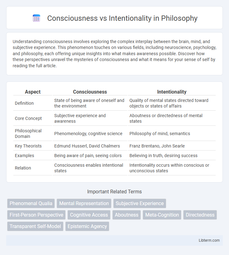 Intentionality vs Consciousness in Philosophy - What is The Difference?