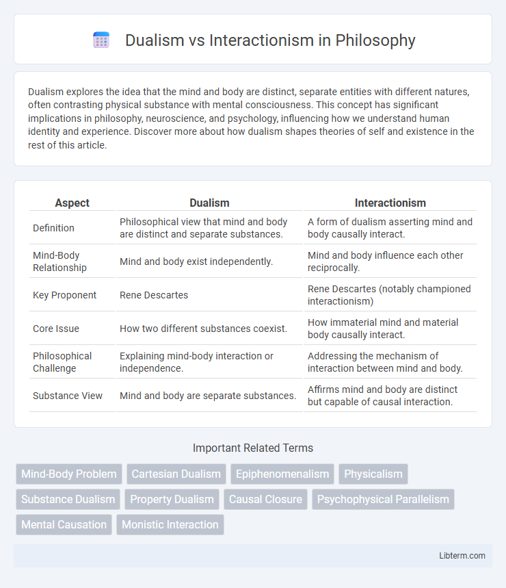 Interactionism vs Dualism in Philosophy - What is The Difference?