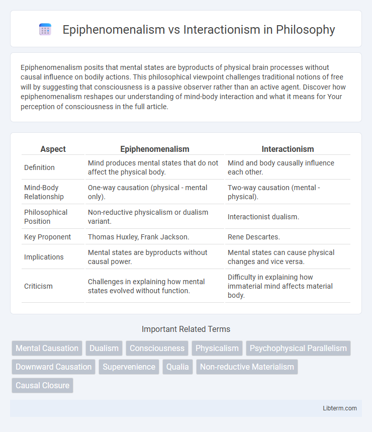 Interactionism vs Epiphenomenalism in Philosophy - What is The Difference?