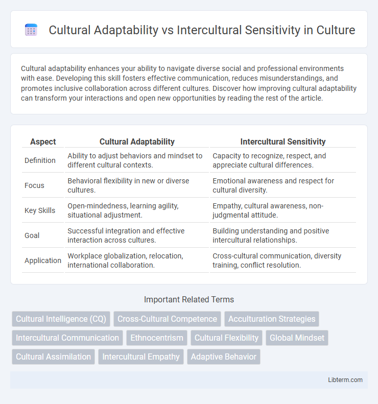 Intercultural Sensitivity vs Cultural Adaptability in Culture - What is The Difference?