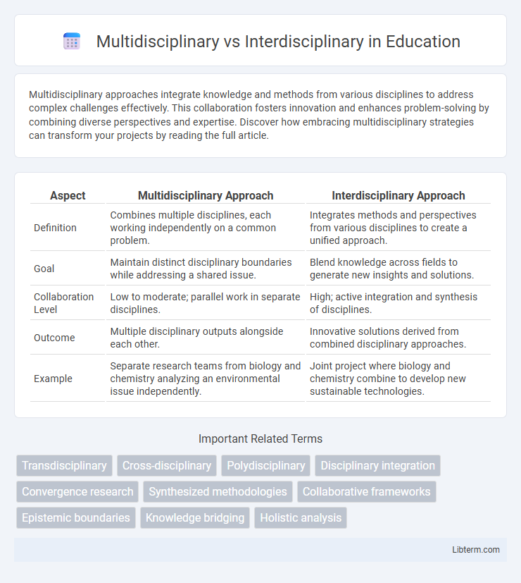 Interdisciplinary vs Multidisciplinary in Education - What is The Difference?