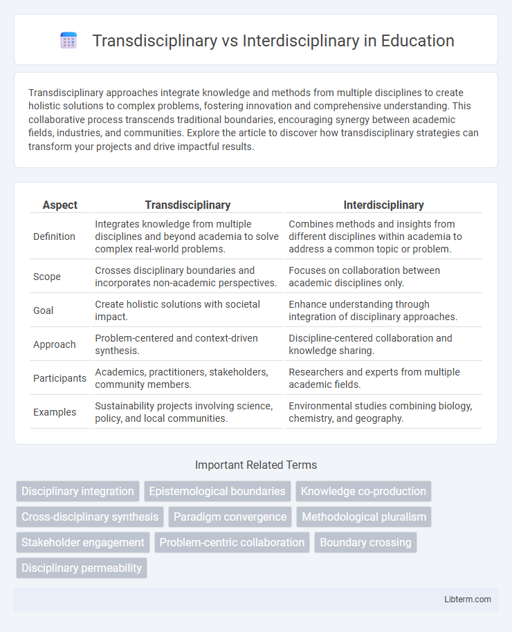 Interdisciplinary vs Transdisciplinary in Education - What is The Difference?