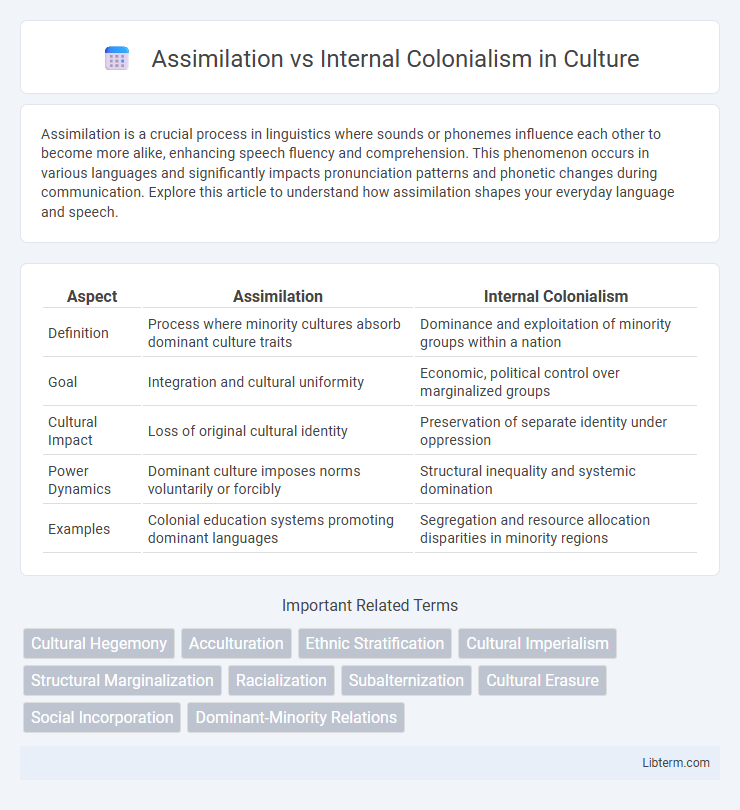 Internal Colonialism vs Assimilation in Culture - What is The Difference?