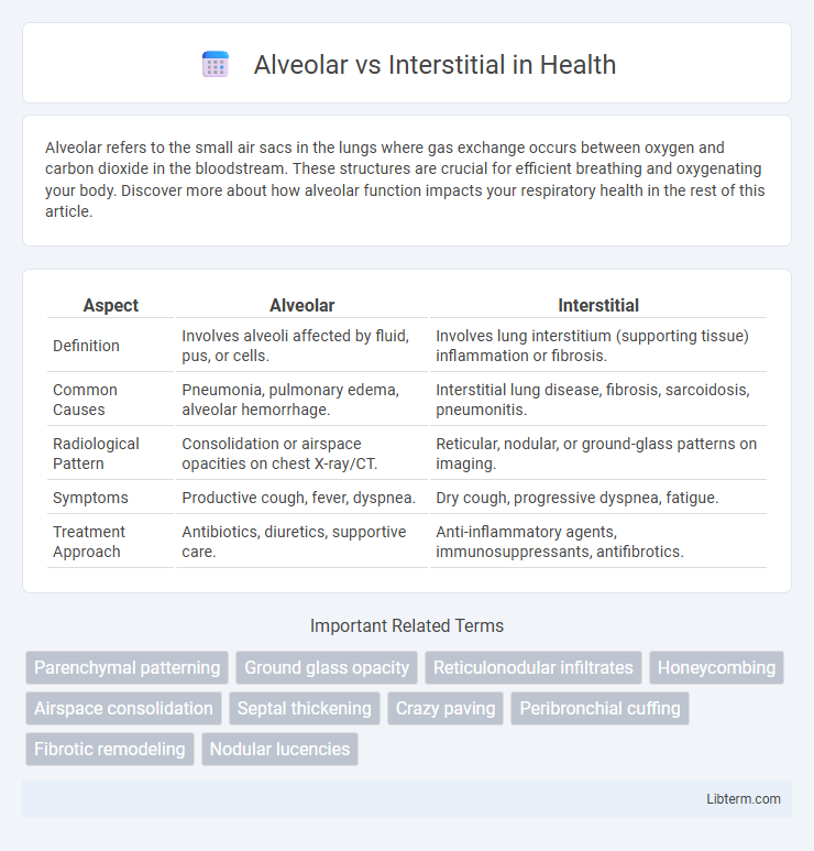 Interstitial vs Alveolar in Health - What is The Difference?
