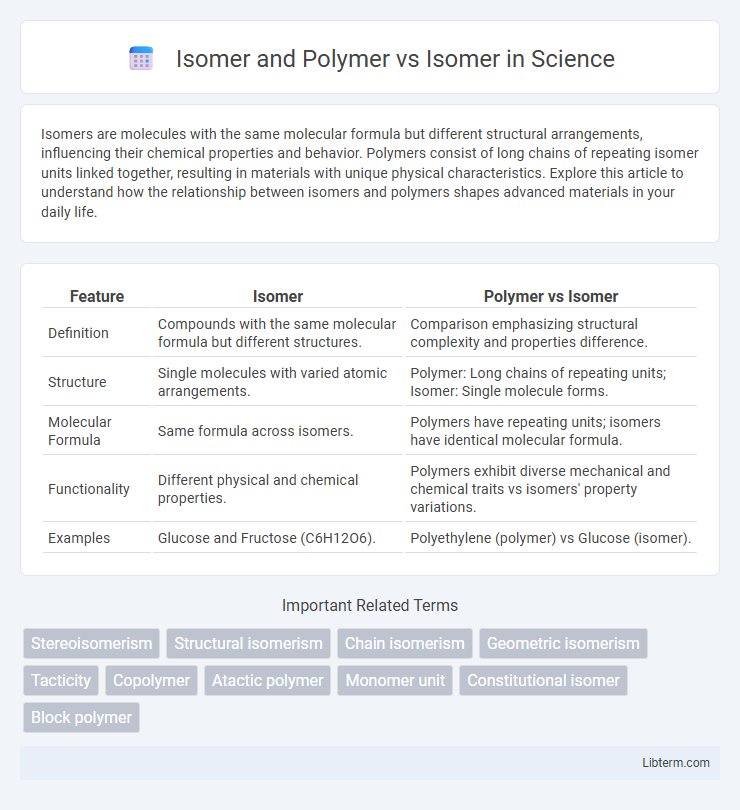 Isomer vs Isomer and Polymer in Science - What is The Difference?