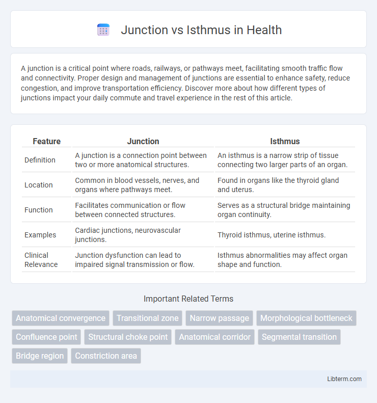 Isthmus vs Junction in Health - What is The Difference?