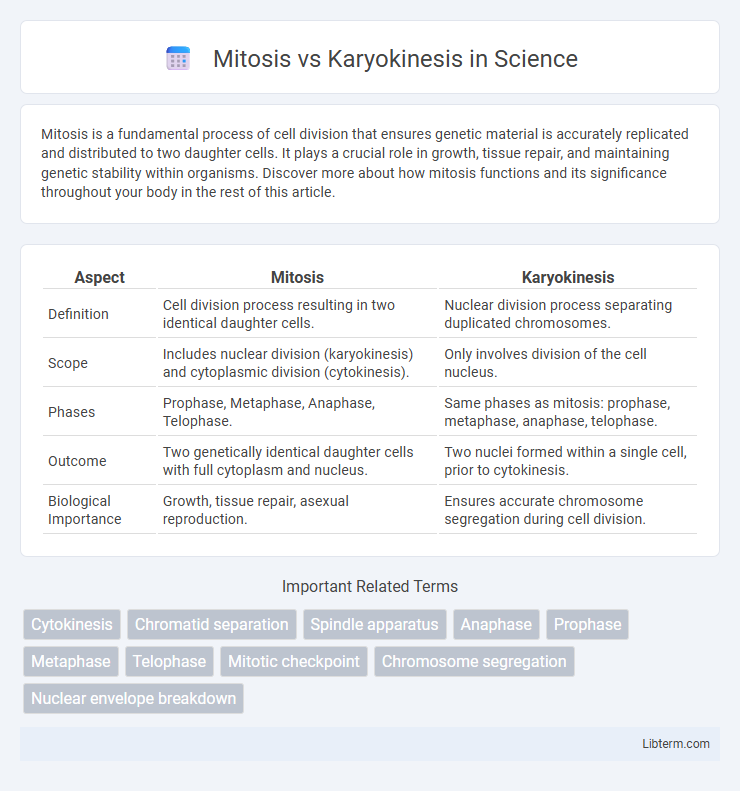 Karyokinesis vs Mitosis in Science - What is The Difference?