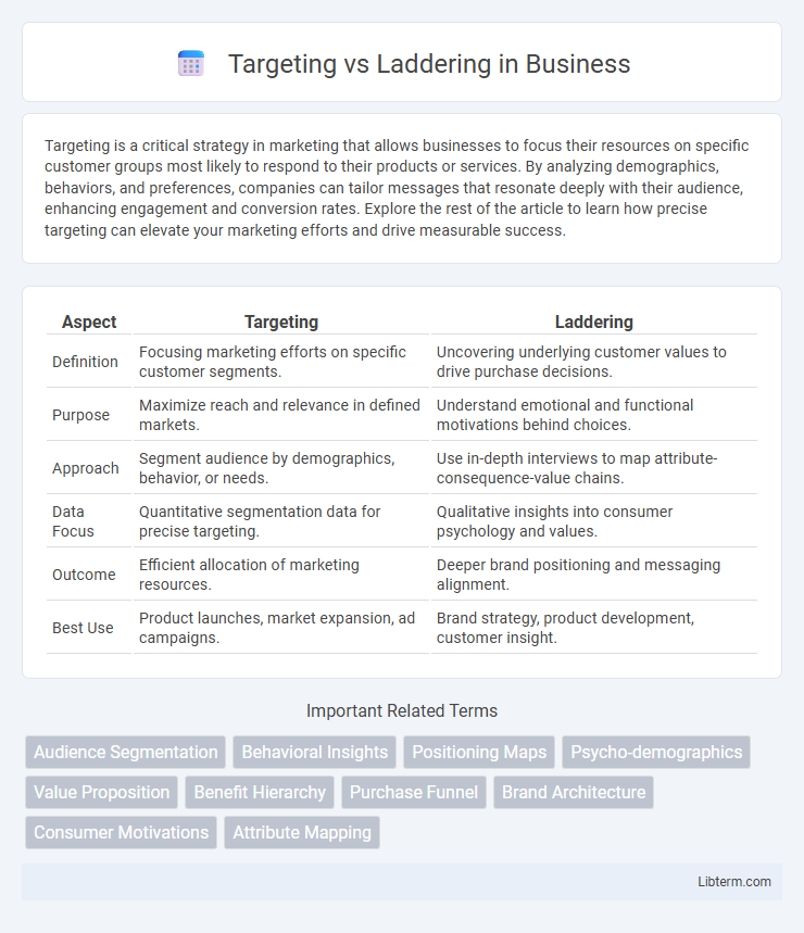 Laddering vs Targeting in Business - What is The Difference?