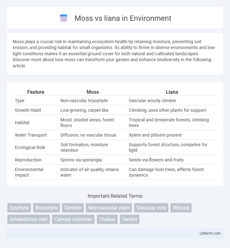 liana vs Moss in Environment - What is The Difference?