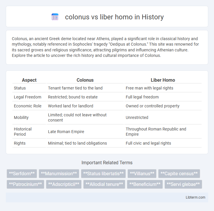 liber homo vs colonus in History - What is The Difference?
