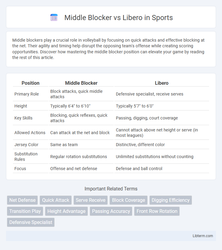 Libero vs Middle Blocker in Sports - What is The Difference?