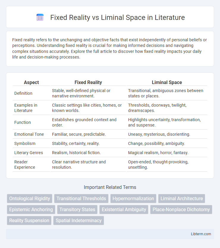 Liminal Space vs Fixed Reality in Literature - What is The Difference?