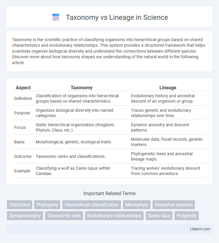 Lineage vs Taxonomy in Science - What is The Difference?