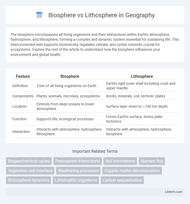 Lithosphere vs Biosphere in Geography - What is The Difference?