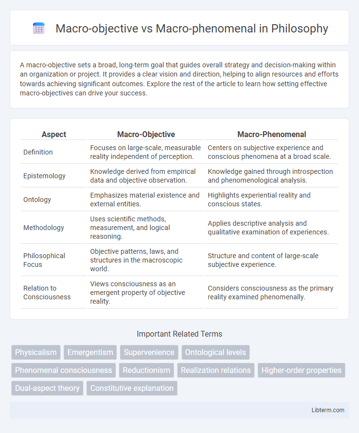 Macro-phenomenal vs Macro-objective in Philosophy - What is The Difference?