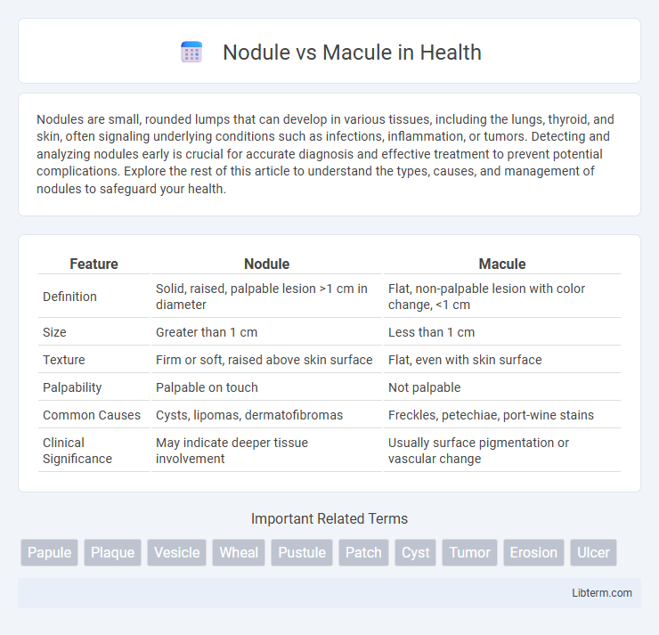 Macule vs Nodule in Health - What is The Difference?