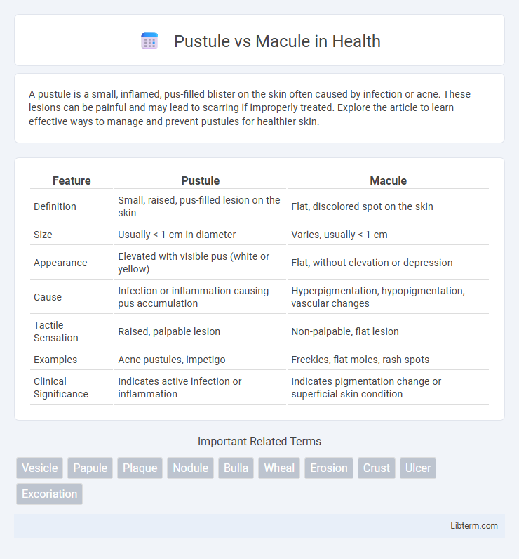 Macule vs Pustule in Health - What is The Difference?