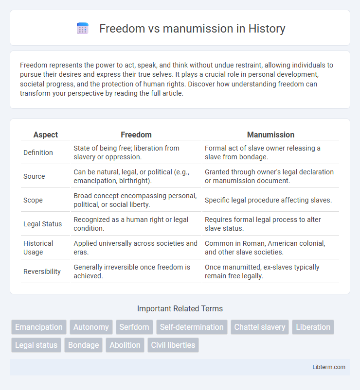 manumission vs Freedom in History - What is The Difference?
