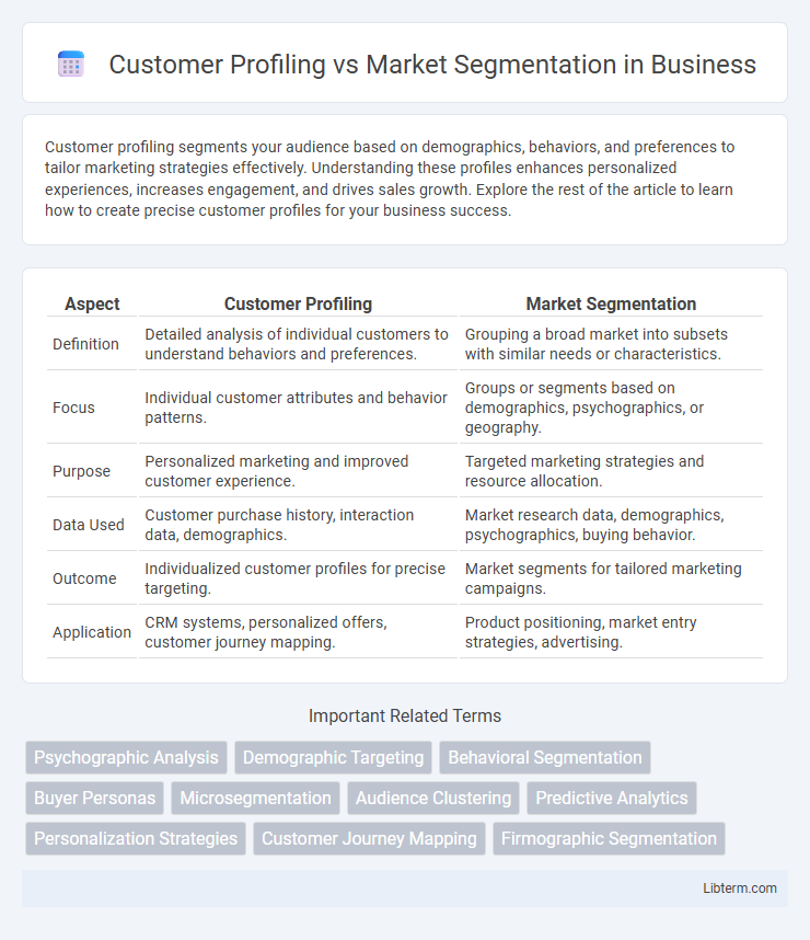 Market Segmentation vs Customer Profiling in Business - What is The Difference?