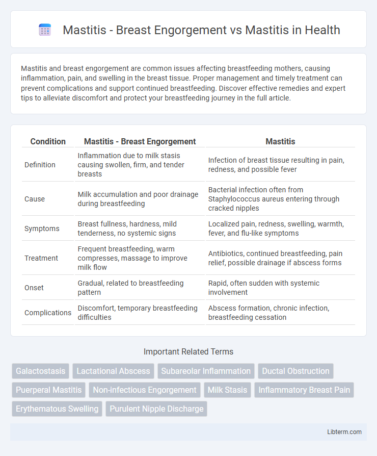 Mastitis vs Mastitis - Breast Engorgement in Health - What is The Difference?