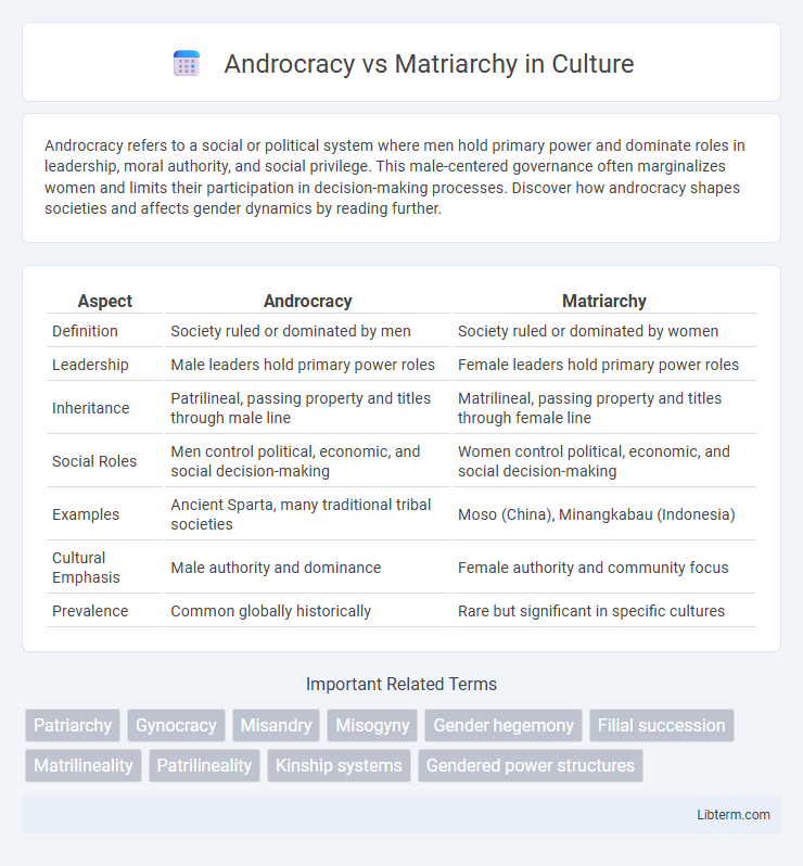 Matriarchy vs Androcracy in Culture - What is The Difference?
