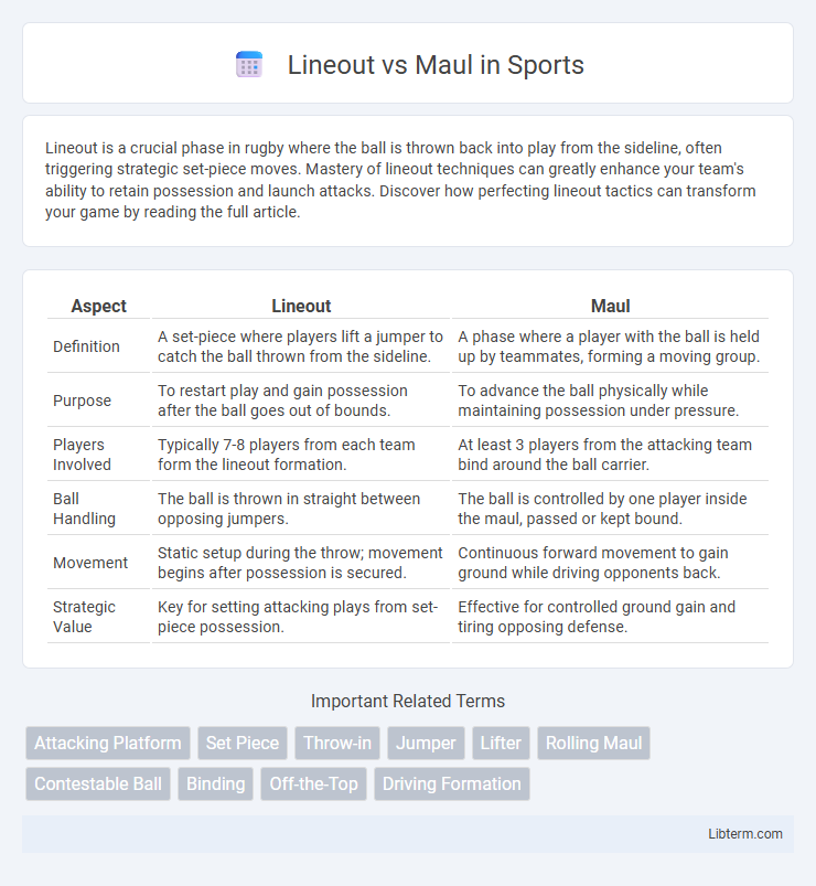 Maul vs Lineout in Sports - What is The Difference?