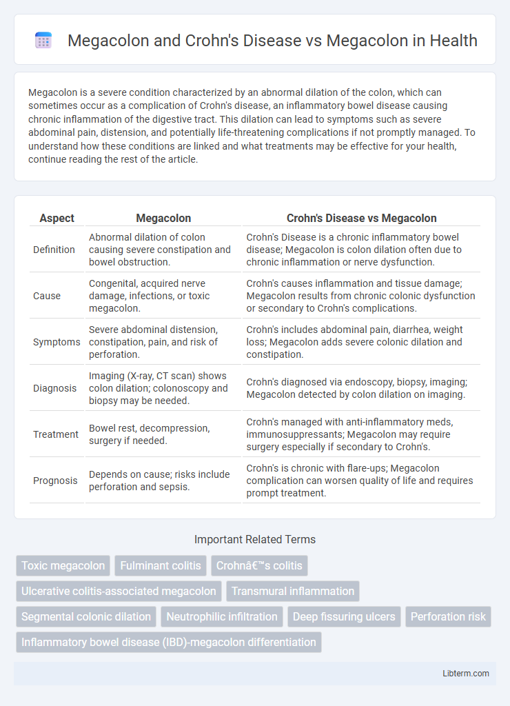 Megacolon vs Megacolon and Crohn's Disease in Health - What is The Difference?